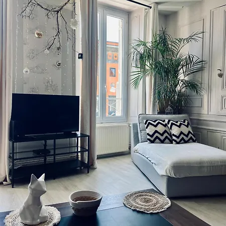 L'haussmanien Au Coeur De *